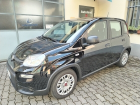 FIAT PANDA - Autoland di Giordano Enrico 